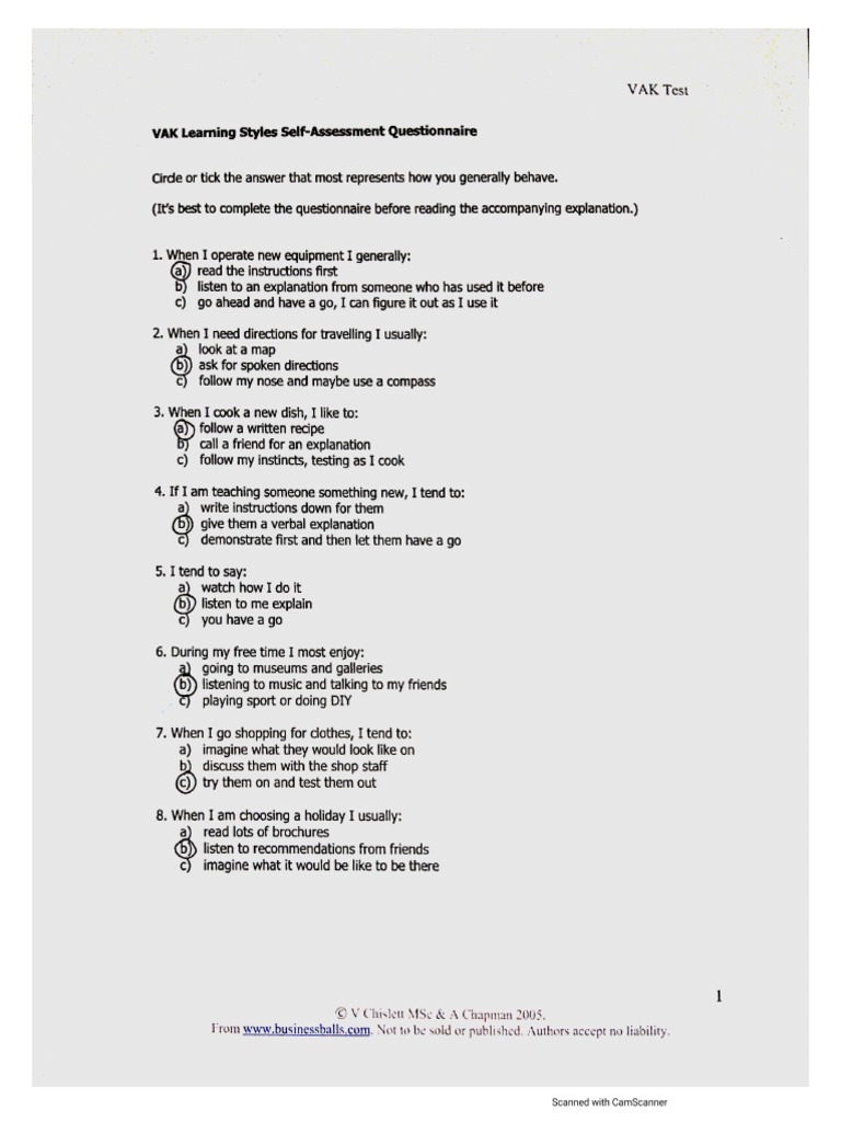 Vak Learning Style Questionnaire | PDF