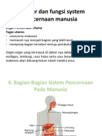 Ppt Sistem Pencernaan Kls 8