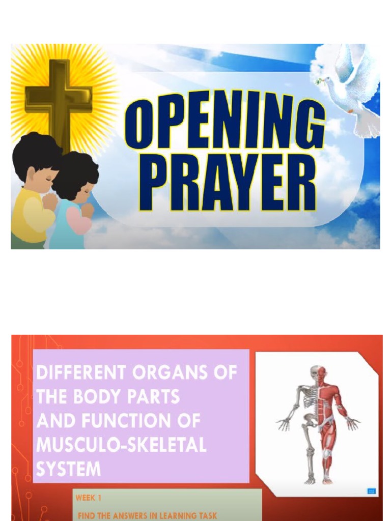Science 6 Feb 2 | PDF | Language Arts & Discipline | Wellness