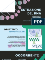 Estrazione Del DNA - Gallina, Manera, Sorrentino