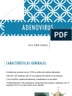 Adenovirus