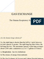 Gas Exchange Presentation4 Ambot1
