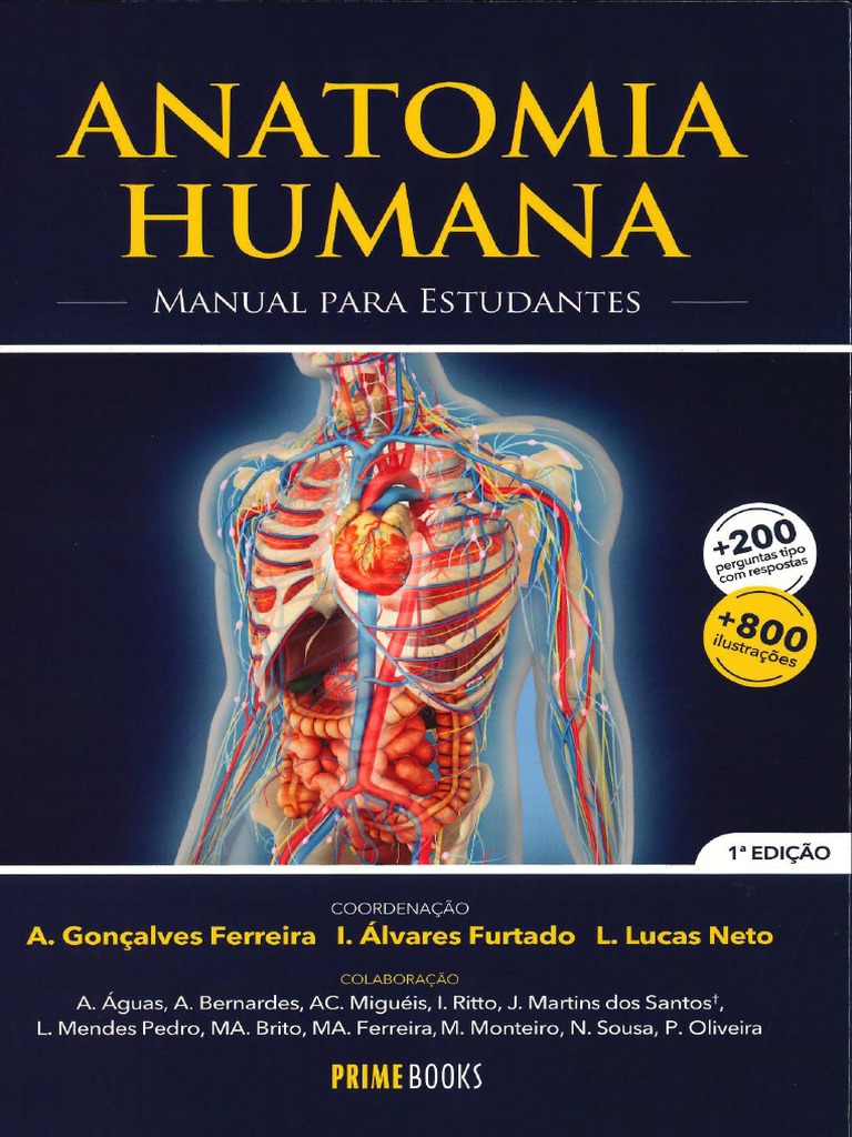 ANATOMIA PDF LIVRO visual data 3