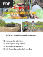 Nursery Layout Design Guide | PDF | Plant Nursery | Horticulture
