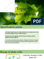 Topic 9 - What Is Photosynthesis