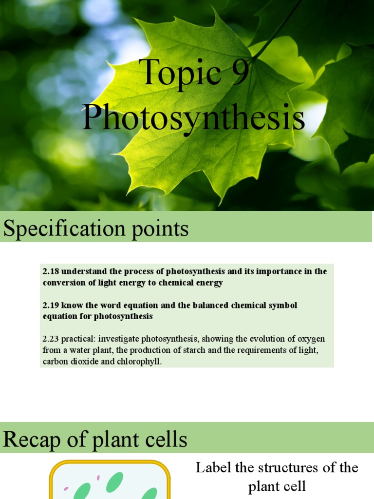 topic-9-what-is-photosynthesis-pdf-photosynthesis-plants
