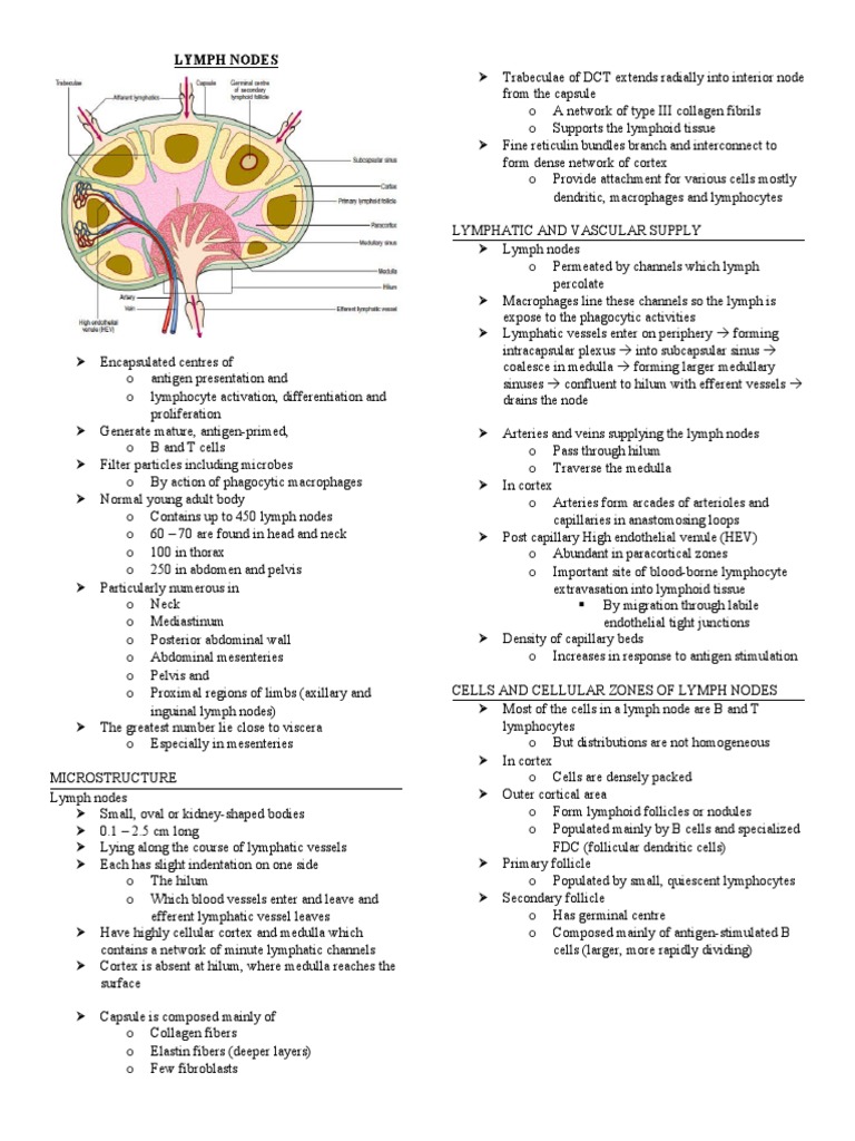 Lymph Usmle Step 1 : Mastering High Yield Topics for USMLE Step 1 ...