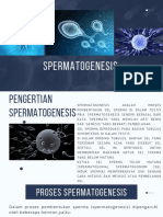 Spermatogenesis Biologi