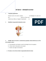 Fisa de Lucru Sistemul Excretor