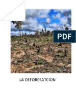 La Deforesatcion