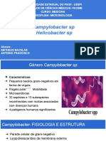 Helicobacter sp e Campylobacter sp na Microbiologia