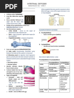 W7 Intestinal Cestodes