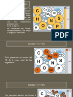 Biomoléculas