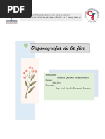 Organografia de La Flor