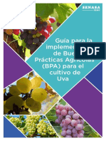 Guía BPA Uva.pdf