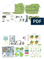 Biodiversity Calss Notes Print