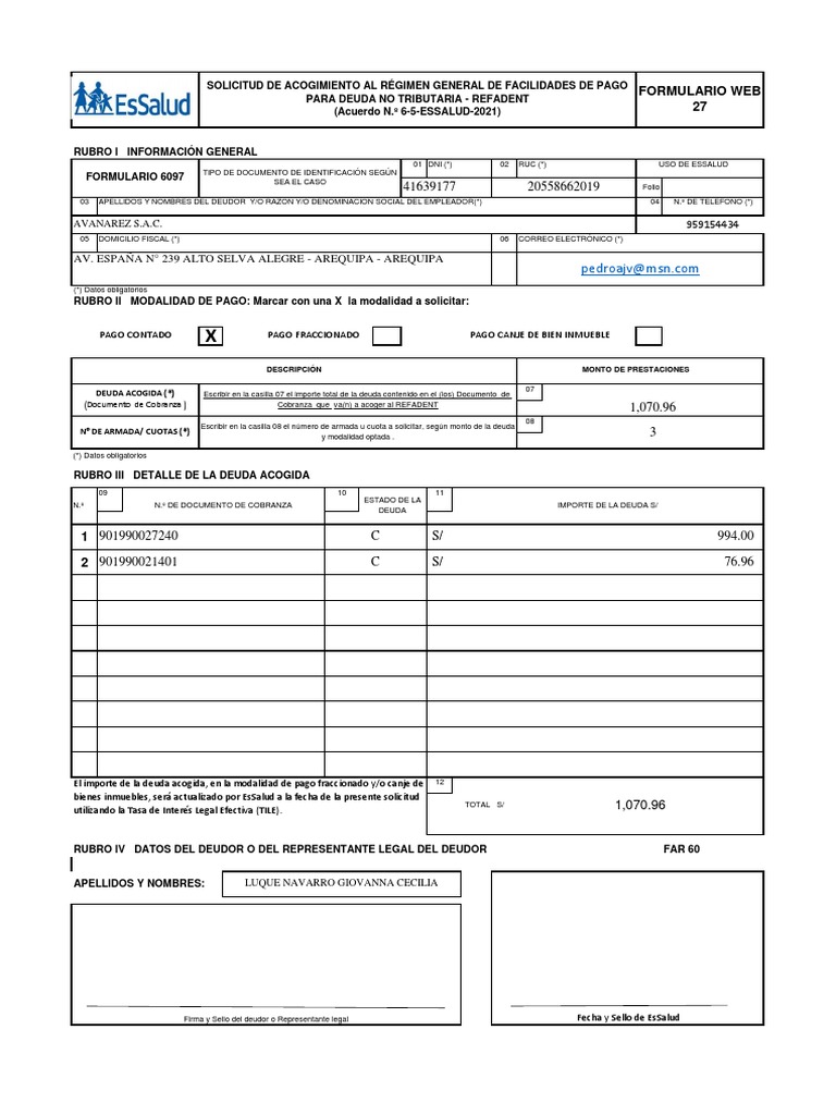 Formulario 6097 - Avanarez S.A | PDF