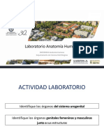 Lab Genitourinario Lab N°9