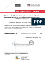 GL-01533 2020 Rolando Maximo Silvano Henostroza (GFP)