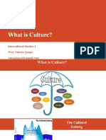 What Is Culture - Lesson 1 1st B