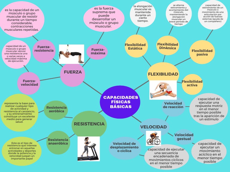 Capacidades Físicas: Flexibilidad y Velocidad | PDF | Flexibilidad ...