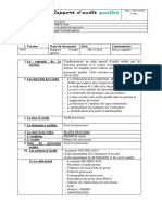 Rapport_d_audit_audit_interne