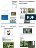 5P-GEOG-4B-S3-S3-LASOCHOREGIONESNATURALESDELPERU-II