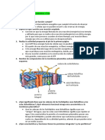ATP y Membrana Plasmática Biología0017