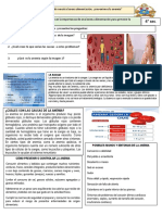 Ficha de 4° Annemia Tutoria