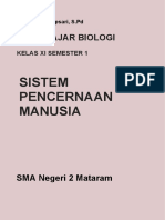 Sistem Pencernaan Manusia: Modul Ajar Biologi