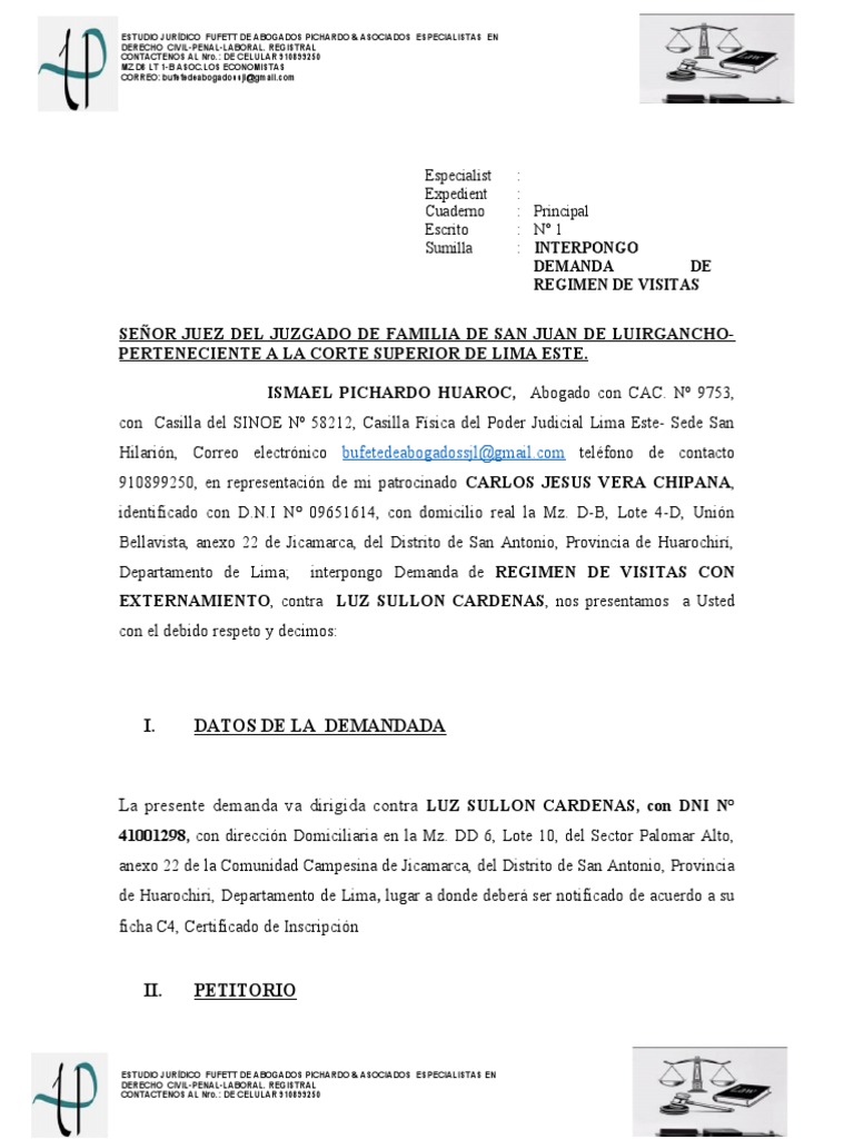 demanda-de-regimen-de-visitas-pdf-demanda-judicial-gobierno
