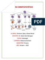 Tejido Hematopoyético Resuelto