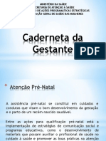 Caderneta-da-Gestante MS