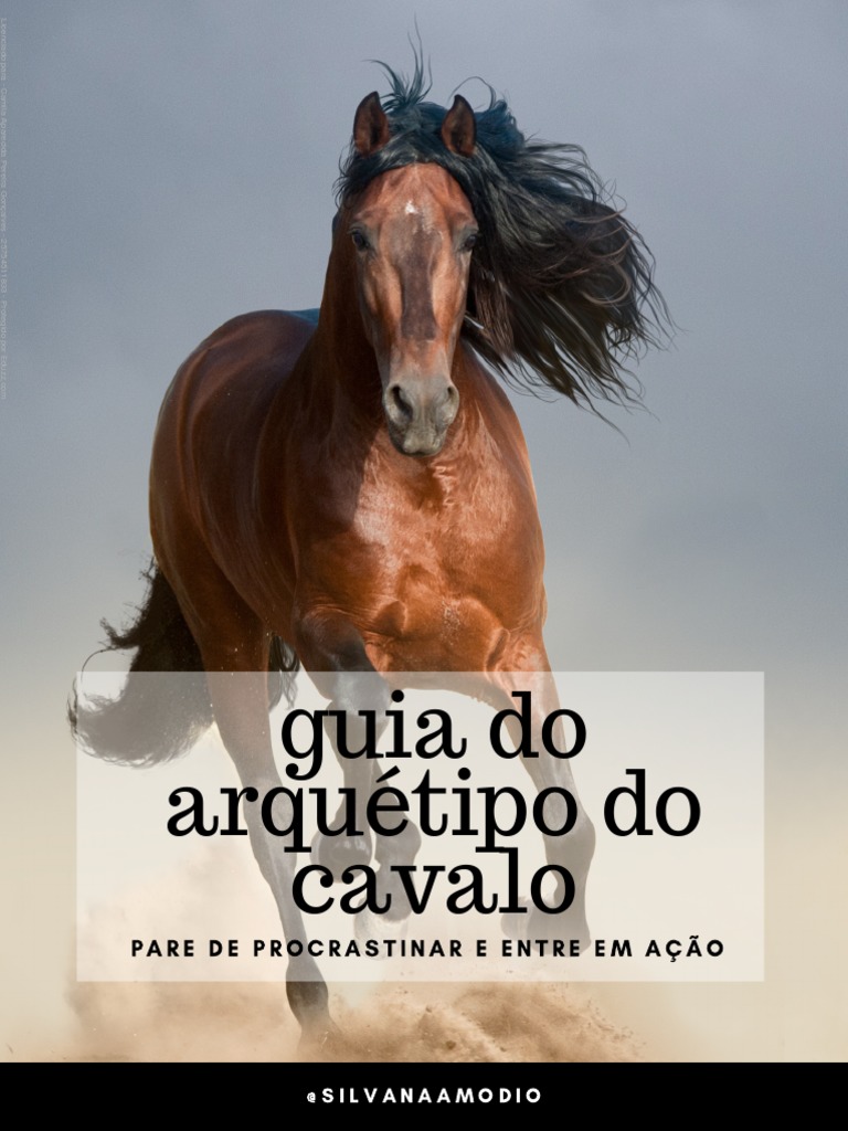 Montando em cavalo pela primeira vez (Com muitos pulos) 