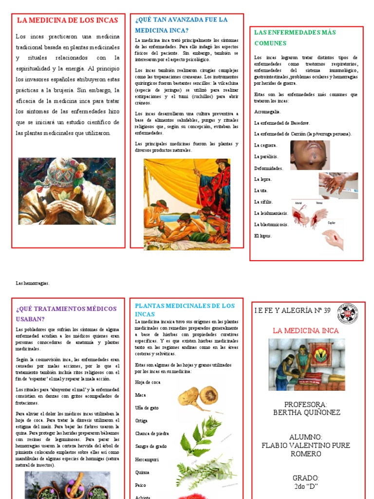 Medicina Tradicional Inca y Plantas Medicinales | PDF | Imperio Inca ...
