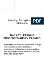 Learning, Perception, and Attribution