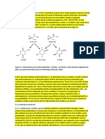 Ácido Poliláctico Resumen