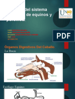 Órganos Del Sistema Digestivo de Equinos y Porcinos. L.Ortiz.