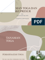 Tanaman Toga Dan Akupresur