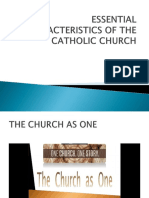 Essential Characteristics of The Catholic Church