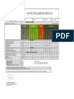 Mt-th-06 Matriz Examenes Medicos