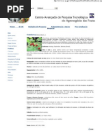 Tratos Culturais Da Framboesa