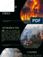 FOREST FIRES - Nurul Ramadhanti - 0521040052