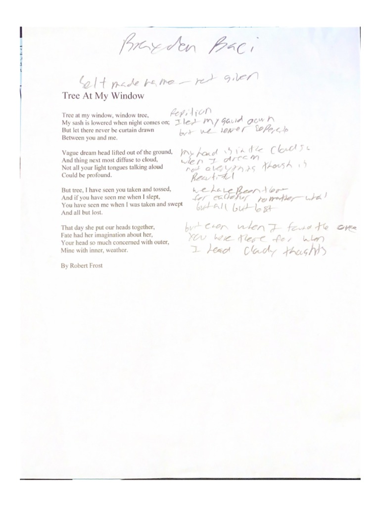 Tree at My Window PDF