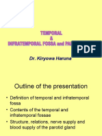 Temporal and Infratemporal Fossa Plus Parotid Gland