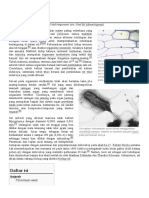 Sel (Biologi) : Daftar Isi