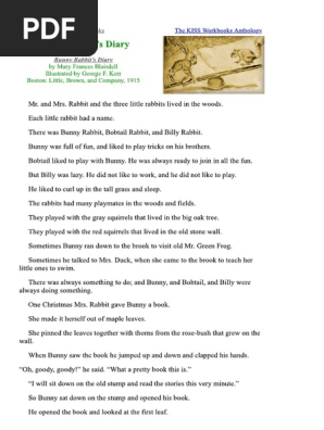 Bunny Rabbit's Diary