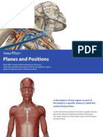 VisibleBody Planes and Positions