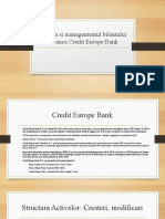 Analiza Si Managementul Bilantului La Banca Europe Credit