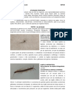 Artrópodes: subfilos e ordens de insetos